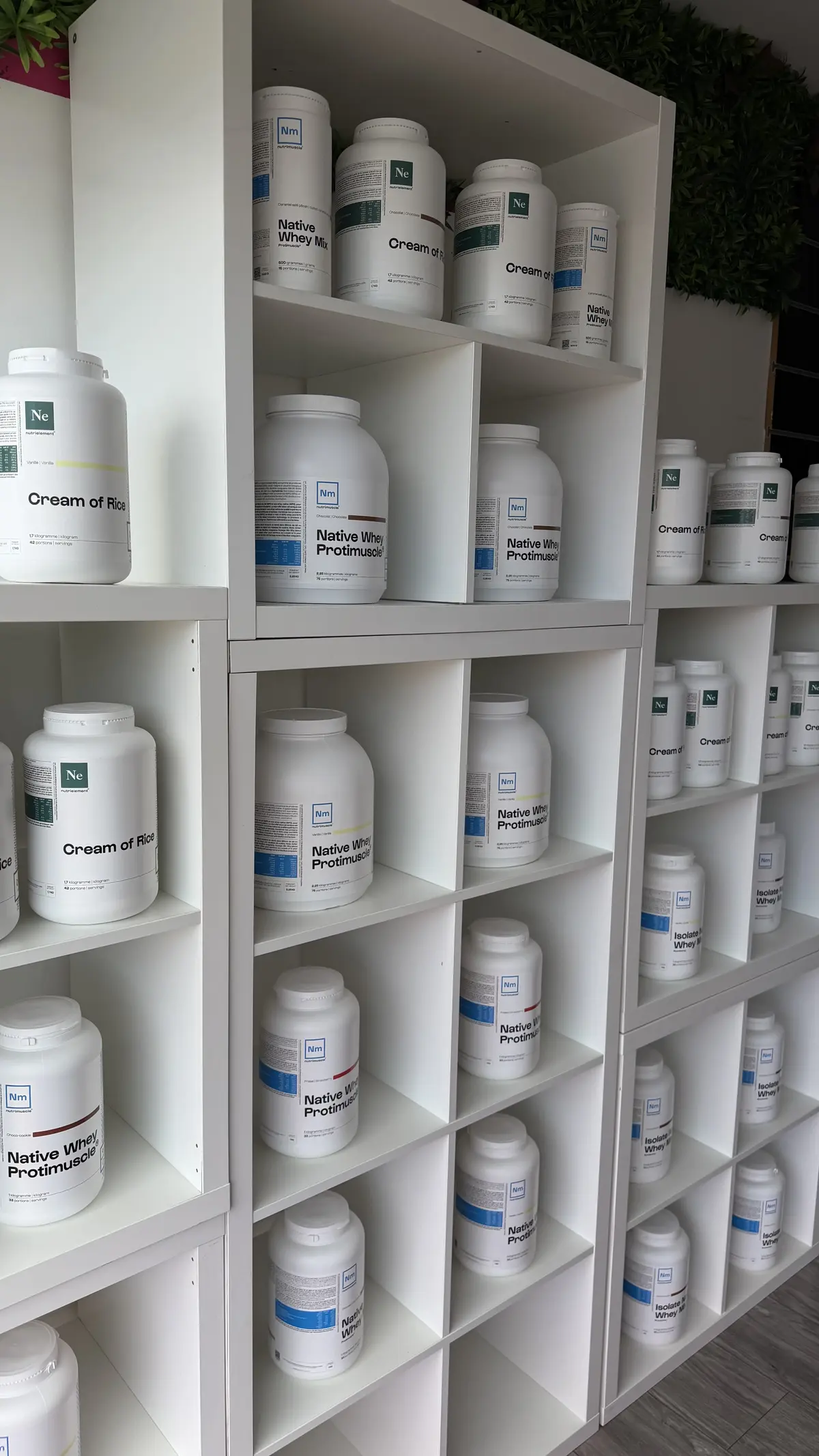 Rayon des protéines Nutrimuscle et Protimuscle dans la boutique BodyStart à Coignières